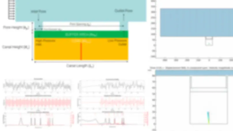Bio-Inspired Noise Filtration & Fluid-Structure Interaction (FSI)